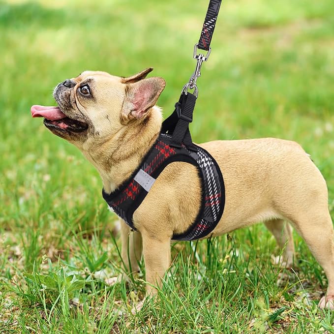 PUPTECK Dog Harness and Leash Set - Image 7