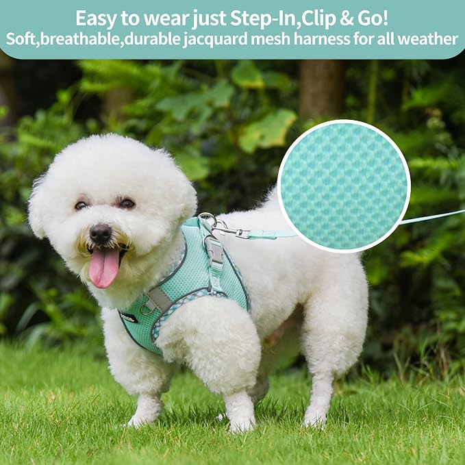 AIITLE Tiny Dog Harness - Image 6