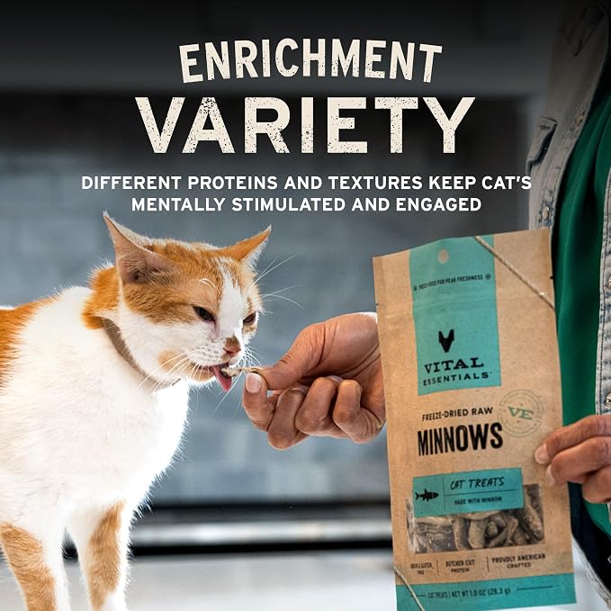 Vital Essentials Freeze Dried Cat Treats | Rabbit Bites, Single Protein | - Image 6
