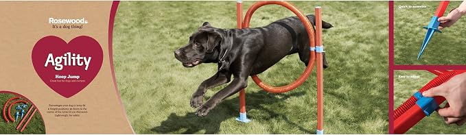 Agility Hoop Jump - Image 3