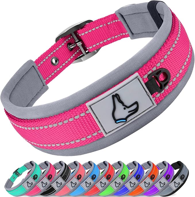 Joytale Dog Collar for Large Dogs, Neoprene Padded and Adjustable, Reflective by Joytale