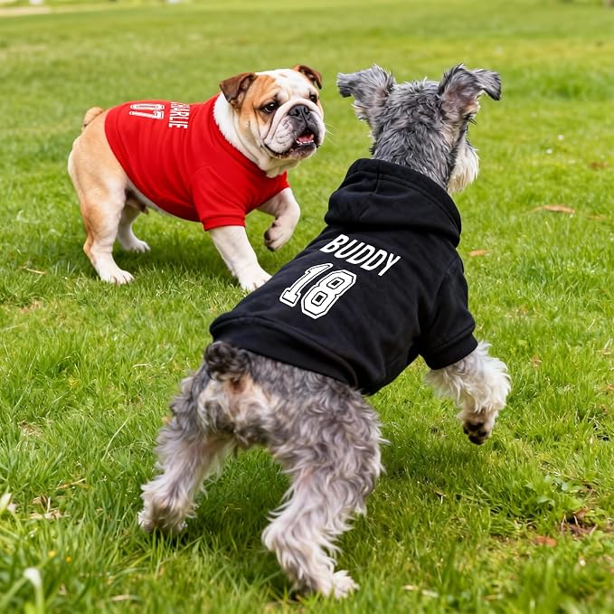 Custom Name Dog Hoodie, Personalized Pet Name Sweatshirt - Image 7
