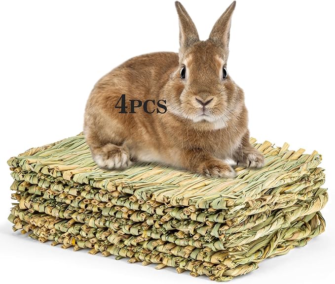 Sukh 4 PCS Rabbit Grass Mats by Sukh