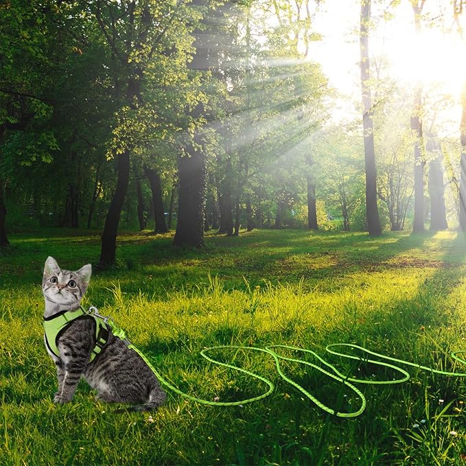Reflective Cat Leash -15FT Cat Cable Out Escape Proof Walking Leads Yard Long - Image 7