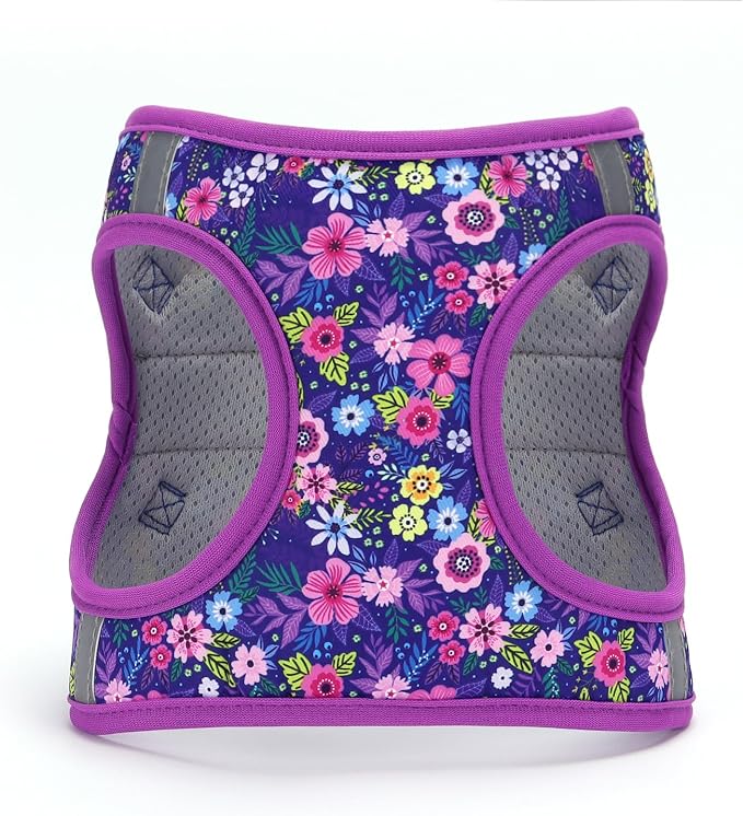 Moonpet Step in Dog Harness Leash Set- All Weather Reflective No-Pull Floral - Image 2