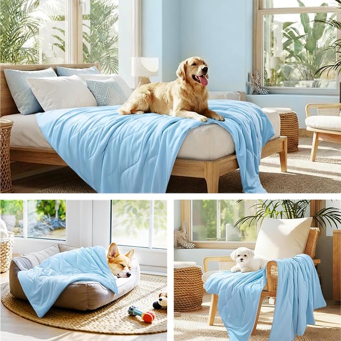 Luciphia Premium Cooling Dog Blanket Washable Q-MAX>0.5 Small Medium Large Pet - Image 5