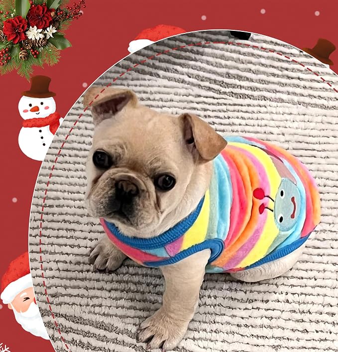 2 Pieces XS Chihuahua Cute Small Dog Puppy Winter Extra Small Pet Dachshund - Image 2
