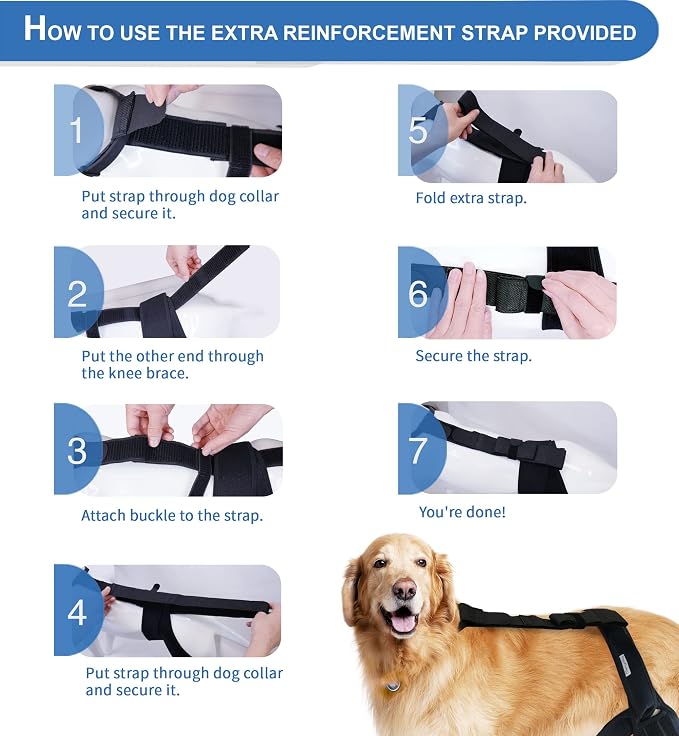 Dog Knee Brace for Torn ACL Hind Leg, Canine Leg Support for ACL/CCL & Cruciate - Image 7