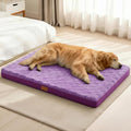 Patas Lague Orthopedic XL Dog Bed Large Sized Dog 48''X30'', Waterproof Soft by PatasLague