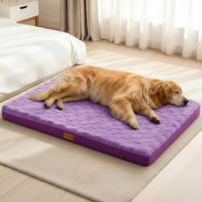 Patas Lague Orthopedic XL Dog Bed Large Sized Dog 48''X30'', Waterproof Soft by PatasLague