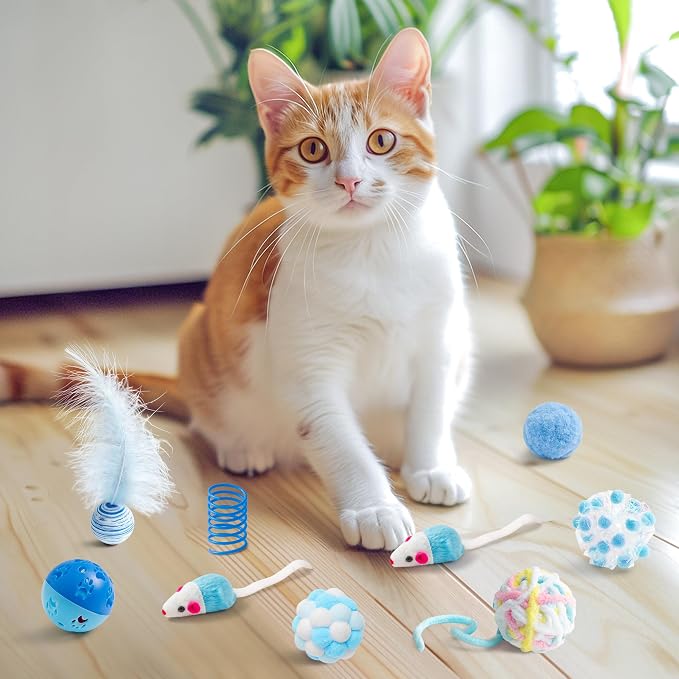 MALLMALL6 10Pcs Cat Toy Set Including Cat Springs Feather Teaser Wand Mice - Image 7
