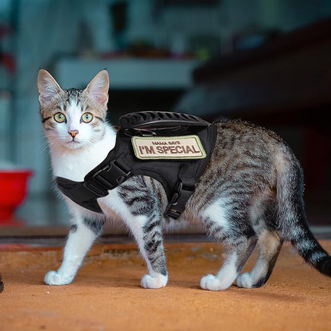 AIWAI Tactical Cat Harness for Walking Escape Proof, Adjustable Pet Vest Harness - Image 4