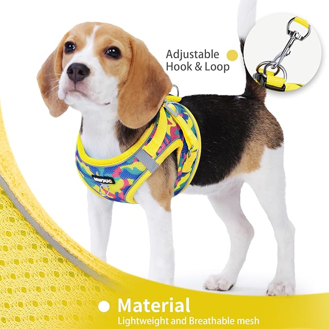 Step in Dog Harness with Leash Set, Adjustable Soft Padded and Breathable Mesh - Image 4