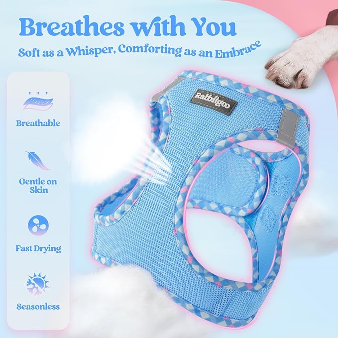 rabbitgoo Dog Harness Small Sized and Leash Set, Step in Soft Light Puppy Vest - Image 3