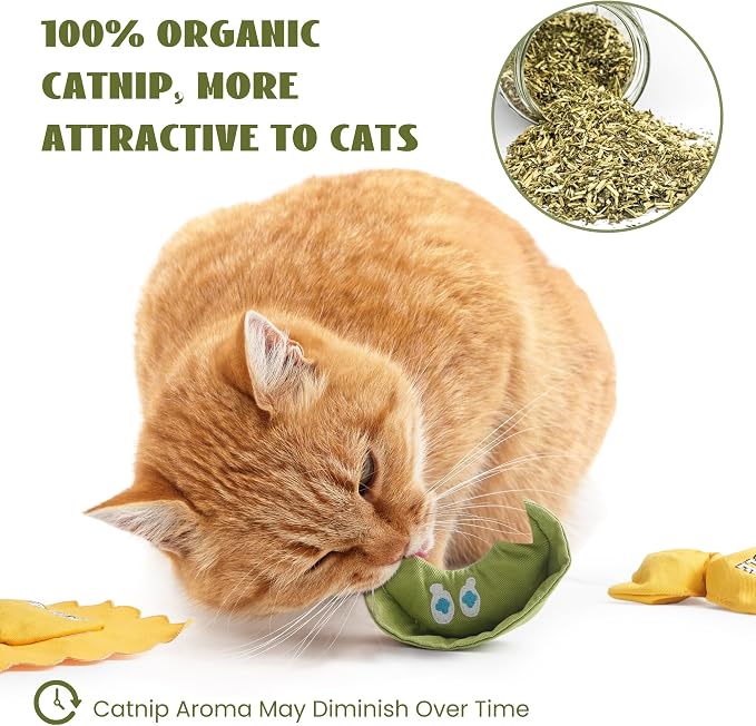 3 Pack Ravioli Catnip Toys for Indoor Cats, Interactive Cat Toys Filled - Image 5