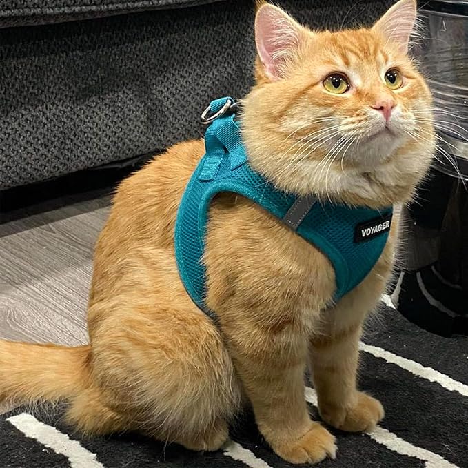 Voyager Step-in Pet Harness - Image 7