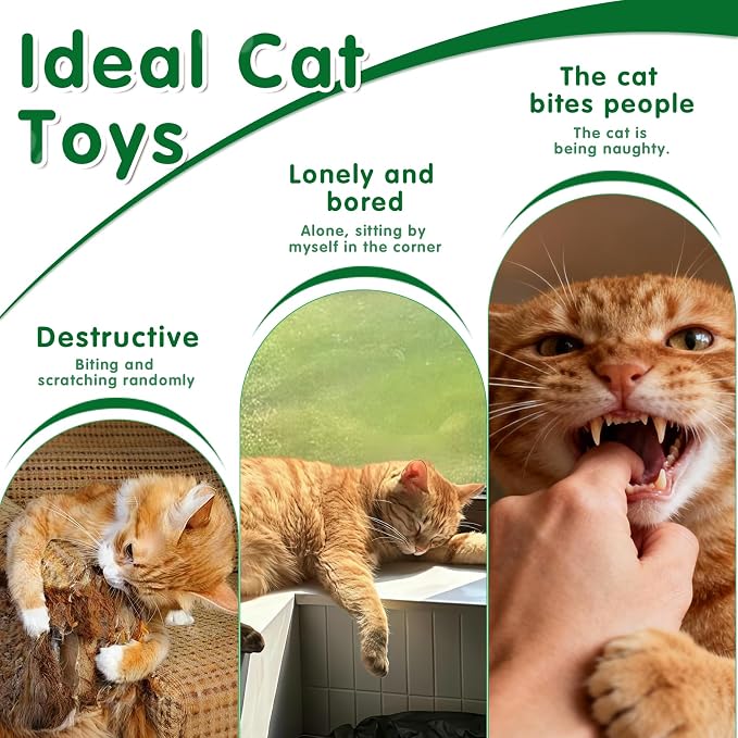 Walfront Interactive Cat Toy, Butterfly Teaser Wand, Retractable 3-Section Cat - Image 6