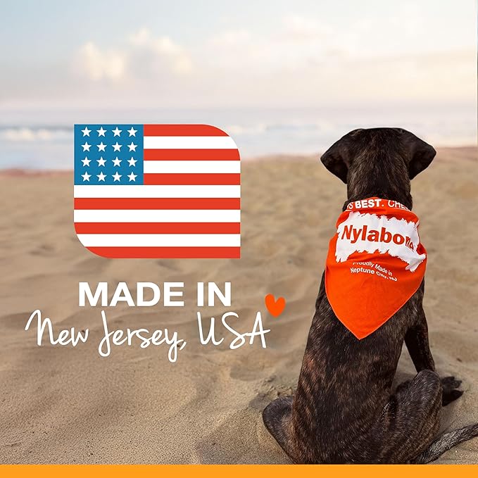 Nylabone Original Bone Power Chew Toy Value Pack - Image 8