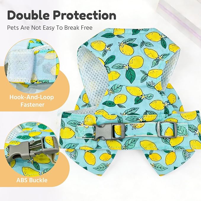 BAEJMJK Dog Harness and Leash Set - Image 6