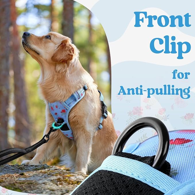 rabbitgoo Dog Harness Small Sized, No Pull Pet Harness - Image 7