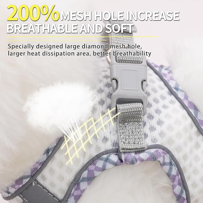 Soft Dog Harness and Leash Set for Walking, Summer Step in Vest Harness - Image 2