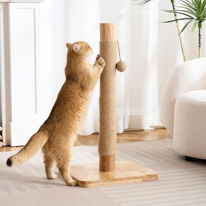 29" Tall Cat Scratching Post for Indoor Cats Adults, Extra-Stable & Natural by Kicari