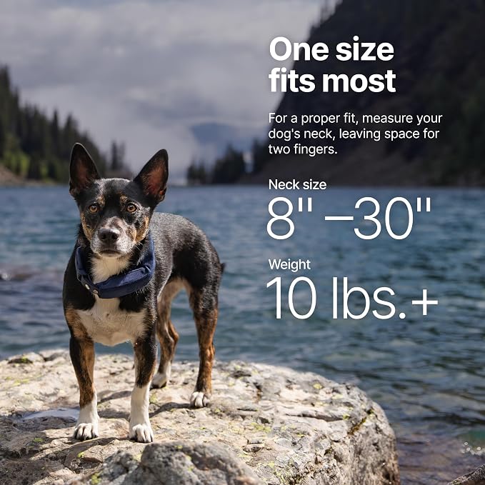 Halo Collar 5 Wireless Dog Fence & GPS Dog Collar, Keep Your Dog Safely - Image 6