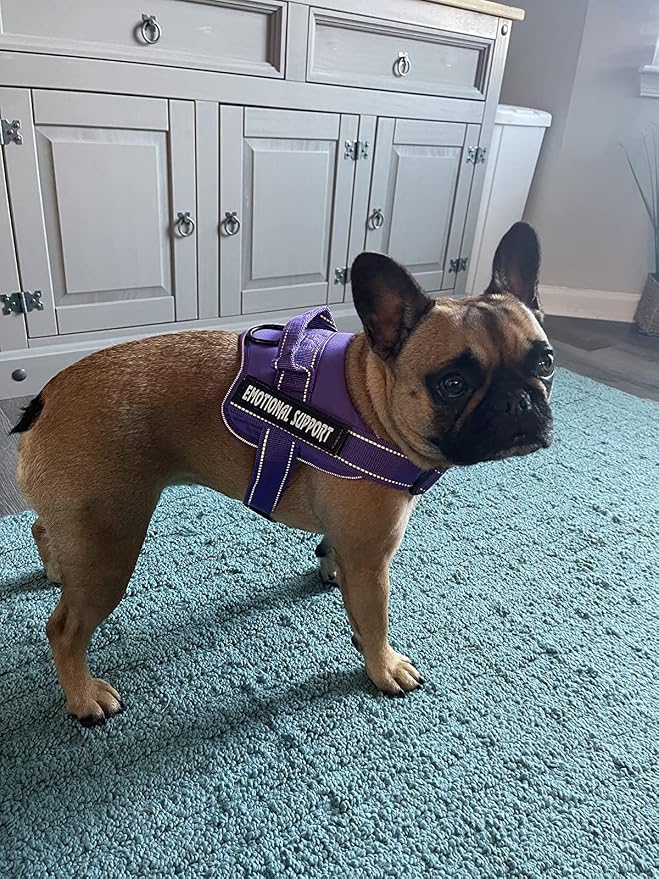 voopet Service Dog Harness, Emotional Support Pet Vest Harness, Reflective - Image 3