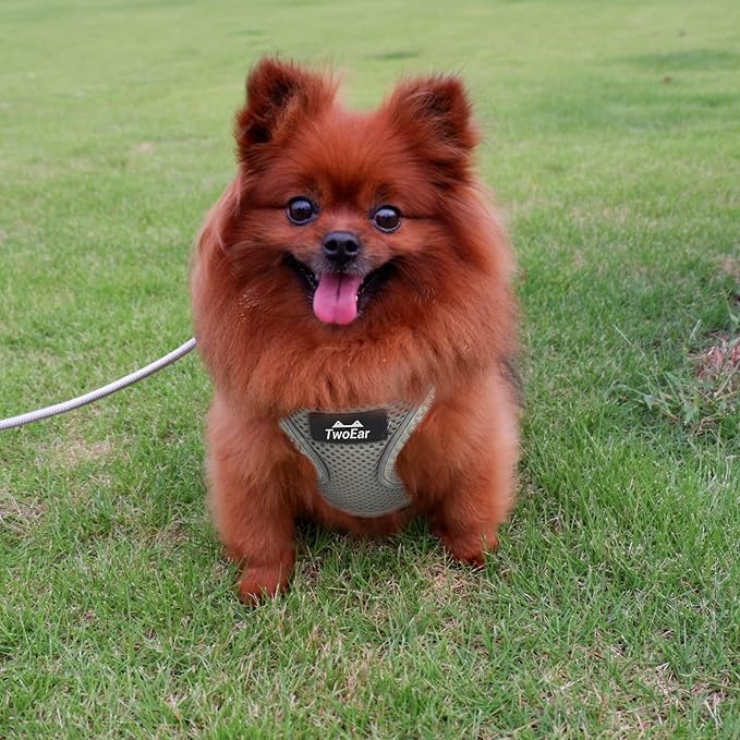 TwoEar Dog Vest Harness Reflective, No-Pull Pet Harness Easy Control - Image 6