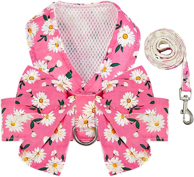 BAEJMJK Dog Harness and Leash Set by BAEJMJK