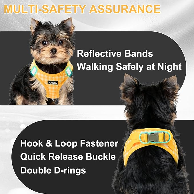 AIITLE Adjustable Dog Harness and Leash Set, Step in No Pull Pet Harness - Image 8