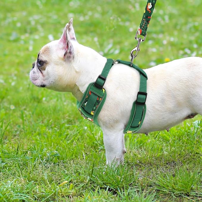 PUPTECK Christmas Small Dog Harness and Leash Set, No Pull Adjustable Puppy Cat - Image 6