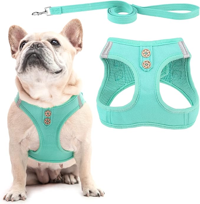 PUPTECK Dog Harness and Leash Set by PUPTECK