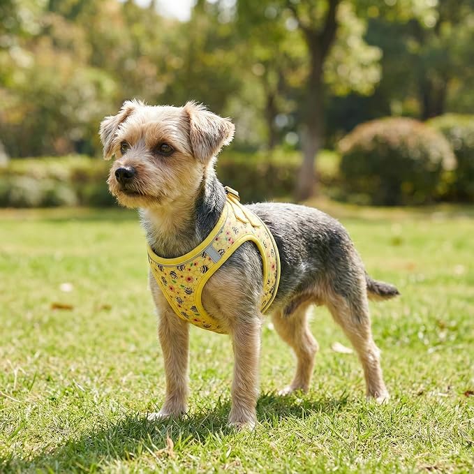 Step in Dog Harness and Leash Set, Reflective Adjustable No Pull Dog Harness - Image 5