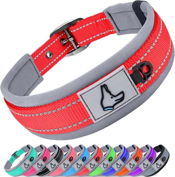 Joytale Dog Collar for Extra Large Dogs, Neoprene Padded and Adjustable by Joytale