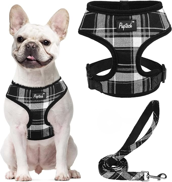 PUPTECK Soft Mesh Dog Harness and Leash Set Pet Puppy Cat Comfort Padded Vest by PUPTECK