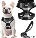 PUPTECK Soft Mesh Dog Harness and Leash Set Pet Puppy Cat Comfort Padded Vest by PUPTECK