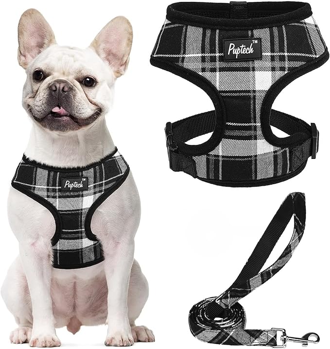 PUPTECK Soft Mesh Dog Harness and Leash Set Pet Puppy Cat Comfort Padded Vest by PUPTECK