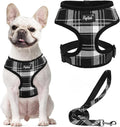 PUPTECK Soft Mesh Dog Harness and Leash Set Pet Puppy Cat Comfort Padded Vest by PUPTECK