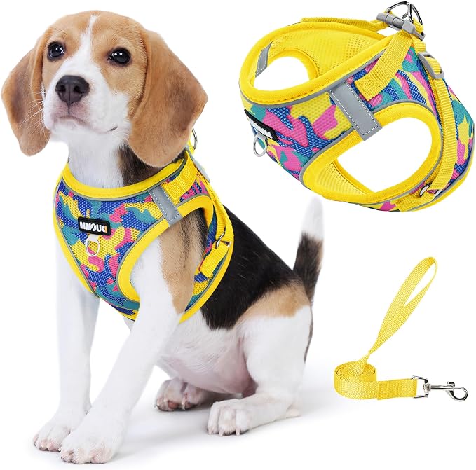 Step in Dog Harness with Leash Set, Adjustable Soft Padded and Breathable Mesh by Unknown