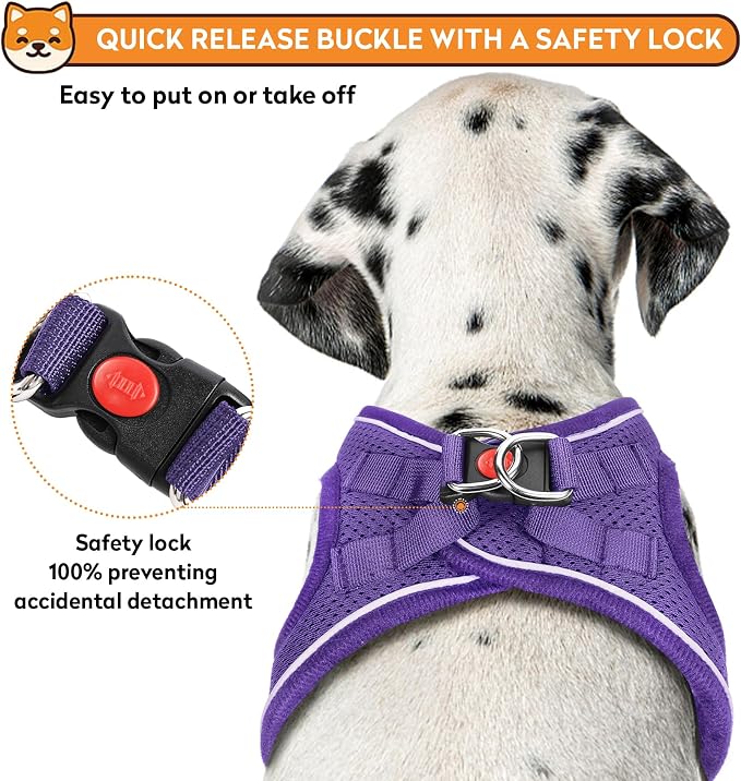 Dog Harness with Leash Set, No-Pull Step-in Reflective Pet Harness with 1 Leash - Image 3
