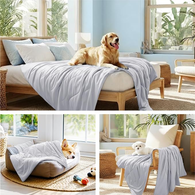 Luciphia Premium Cooling Dog Blanket Washable Q-MAX>0.5 Small Medium Large Pet - Image 5