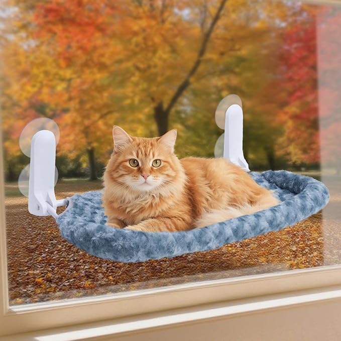 YUNIQUE Cat Window Perch with Cushion Rim, Upturned Edge Bracket, Portable Wall by YUNIQUE