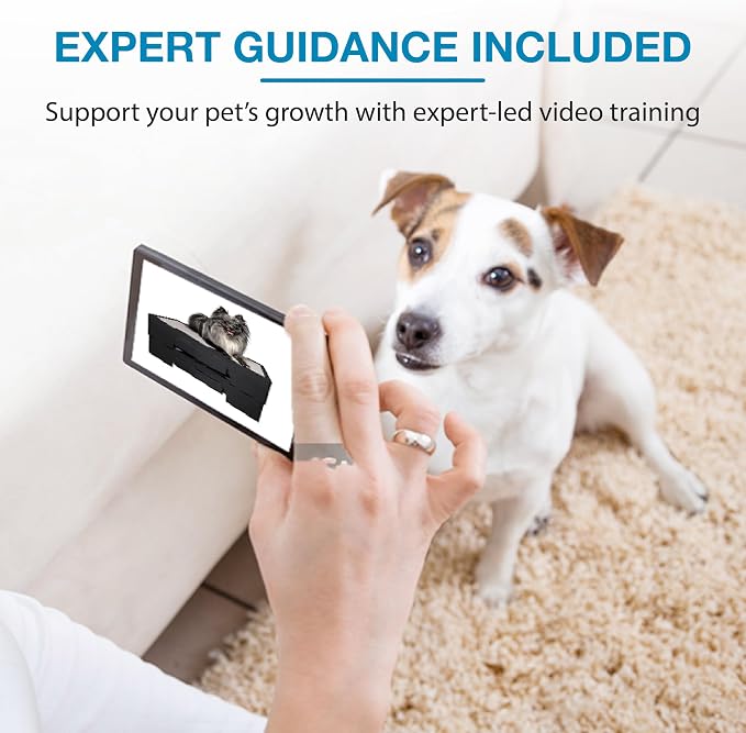 Blue-9 KLIMB Jr. Professionally Designed Dog Training Platform and DIY Guide - Image 7