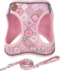 Step in Dog Harness and Leash Set, Reflective Adjustable No Pull Dog Harness by Mihqy