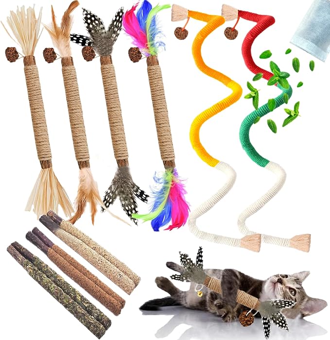Cat Toys 12Pcs Catnip Toys for Indoor Kitten Cat Silvervine Chew Molar Scratch by GREMBEB