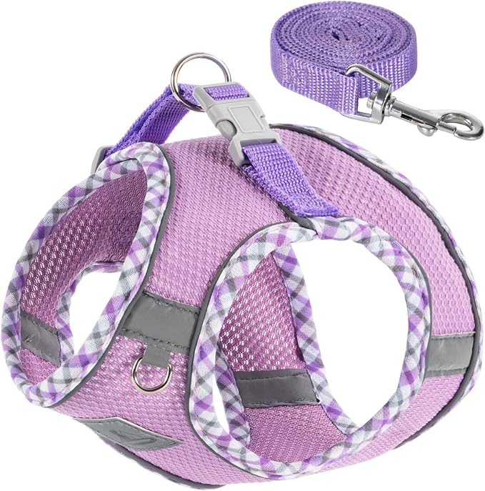 Dog Harness & Leash Set by TomteNisse