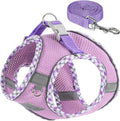 Dog Harness & Leash Set by TomteNisse