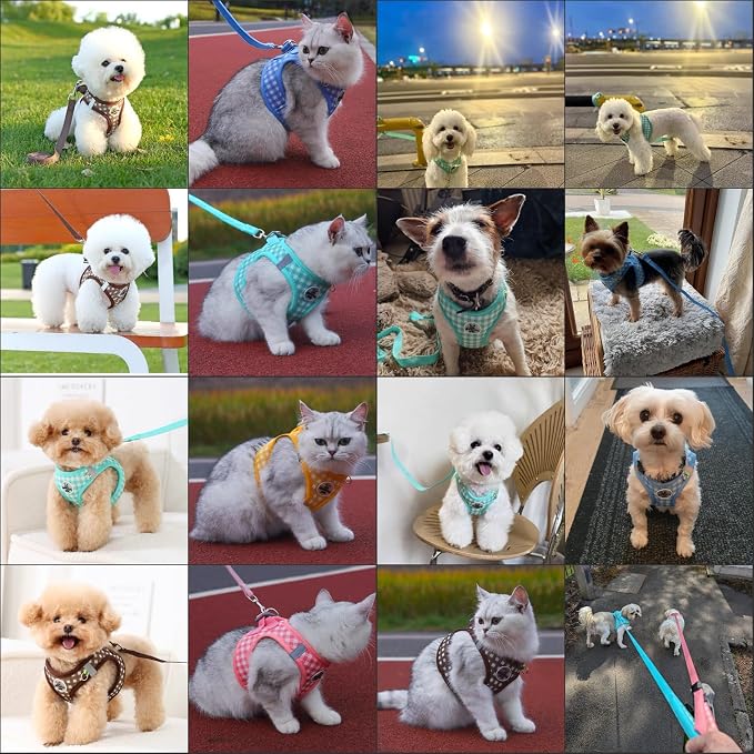 Gyuzh Dog Harness and Leash Set, Soft Mesh Breathable Small Dog Harness - Image 7
