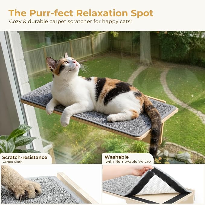 Pecute 2-in-1 Large Cat Window Perch & Wall Shelves, Cat Hammock Window - Image 6